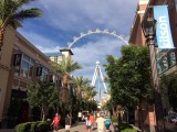 high roller