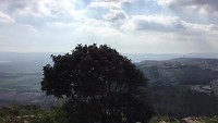 Rondzicht vanaf de berg Reciprice nabij Nazareth