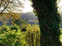 Uitzicht vanaf de camping op Schloss Stolzenfels