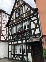IMG_1234