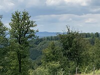 IMG_1232