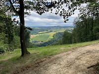 IMG_1249