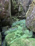 Wandeltocht Teplice Skaly