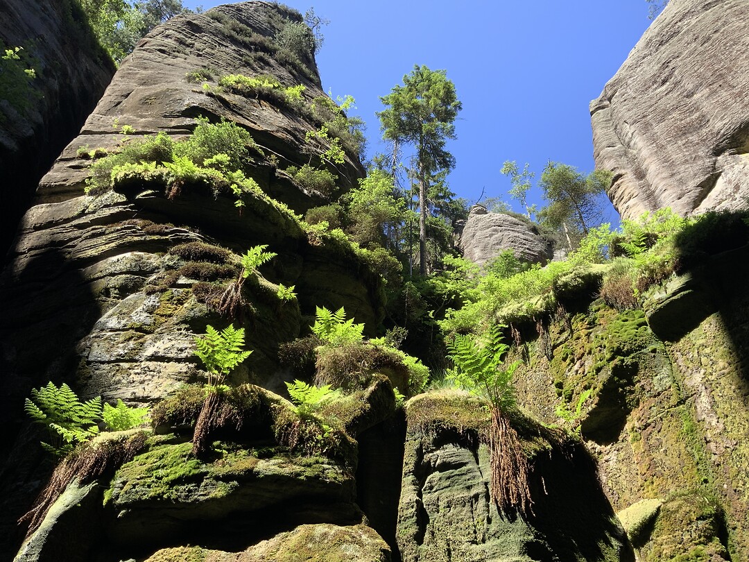 Wandeltocht Teplice Skaly