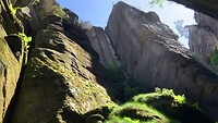 Wandeling Teplice Skaly, het verdampen van water uit mos