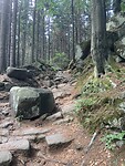 Het wandelpad dat hier nog redelijk begaangaar was.