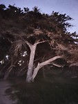 20190912_194657
