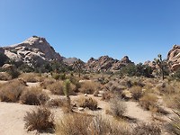 20190917_141526