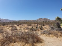 20190917_134006