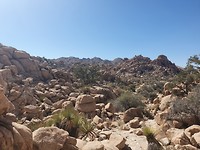 20190917_143926