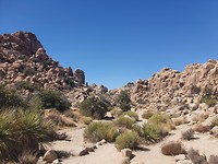 20190917_142936
