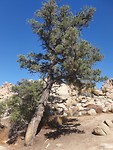 20190917_142941