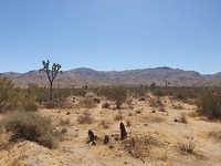 20190917_133952