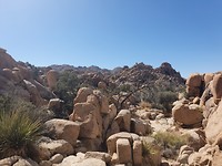 20190917_143830