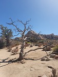 20190917_143205