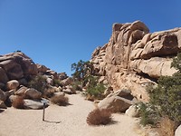 20190917_142054
