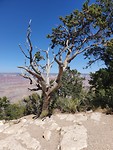 20190920_121715
