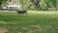20190925_153351