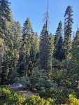 20191002_164431