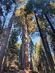 20191002_164813