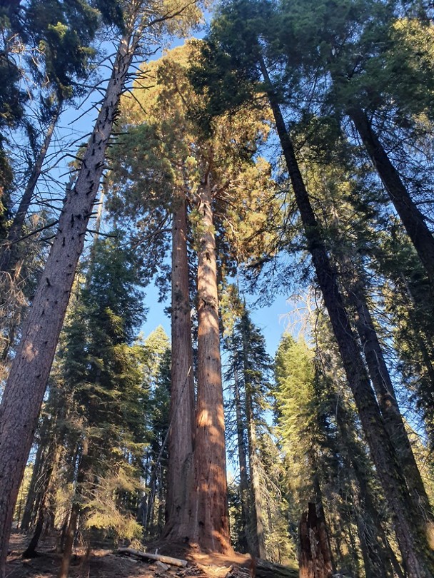 20191002_164813