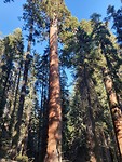 20191002_164856