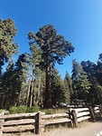 20191002_161125