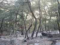 20191003_152822
