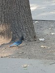20191004_090904