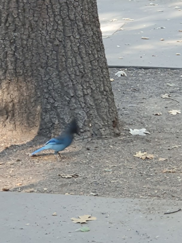20191004_090904