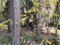 20191004_100815