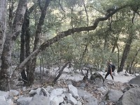 20191003_152810