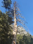 20191003_152324