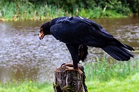 IMG_5442