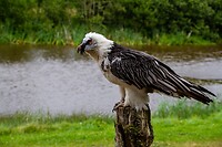 IMG_5436