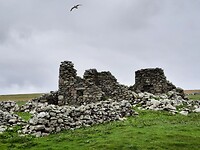 20220725_163858