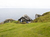 IMG_1126