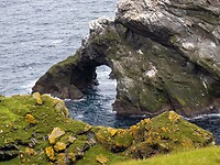 IMG_1127