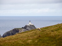 IMG_1128