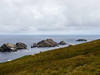 IMG_1129