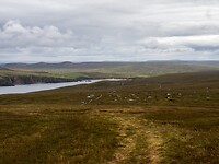 IMG_1131