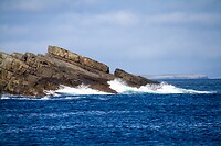 IMG_0165