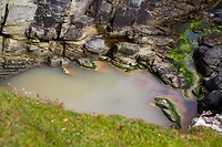 IMG_0176