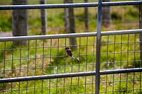 IMG_0181