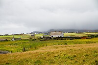 IMG_0184