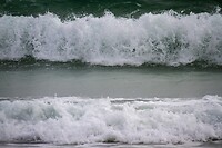 IMG_0189