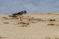 IMG_0196