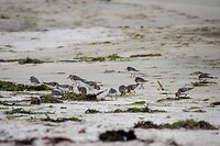 IMG_0199