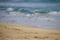 IMG_0205