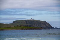 IMG_0207